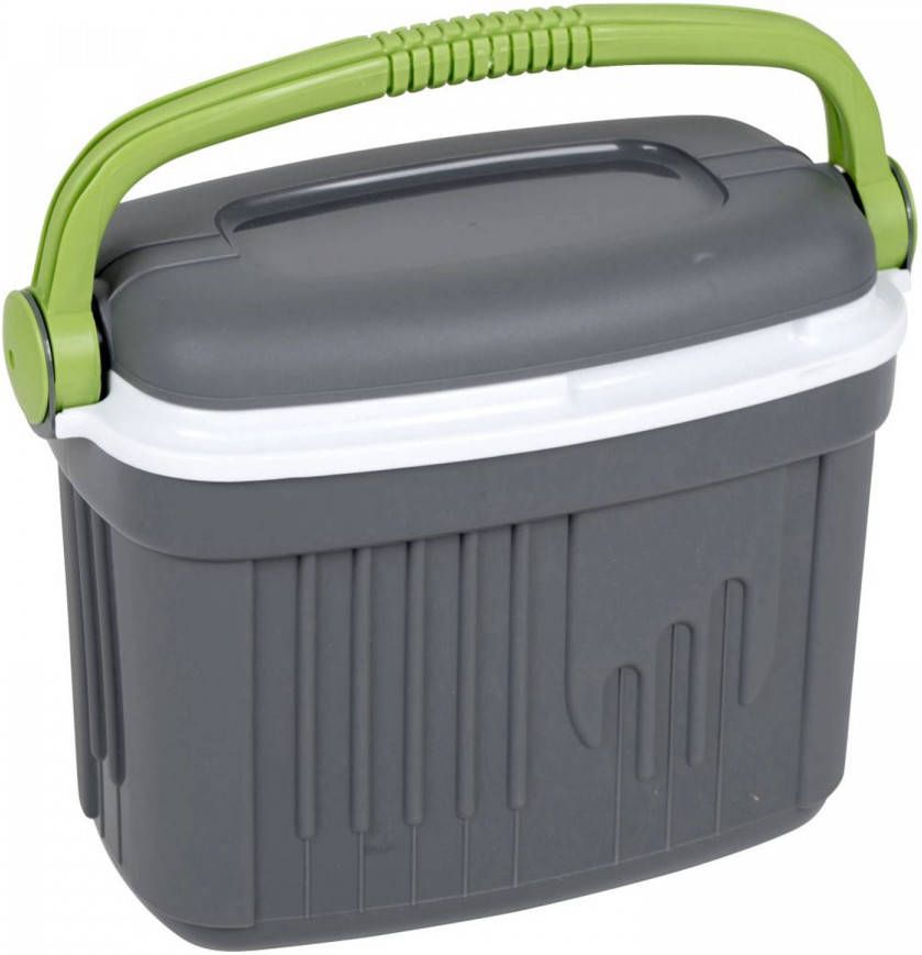 vidaXL Eda Koelbox Iceberg Grijs 8 L 6702831