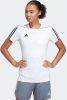 Adidas Tiro 23 League Dames Jerseys/Replicas online kopen